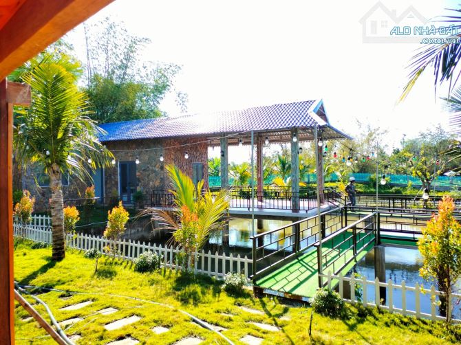 💢 Bán căn nhà vườn view suối 1950m2 có thổ cư Tại Eakao 💢 - 6