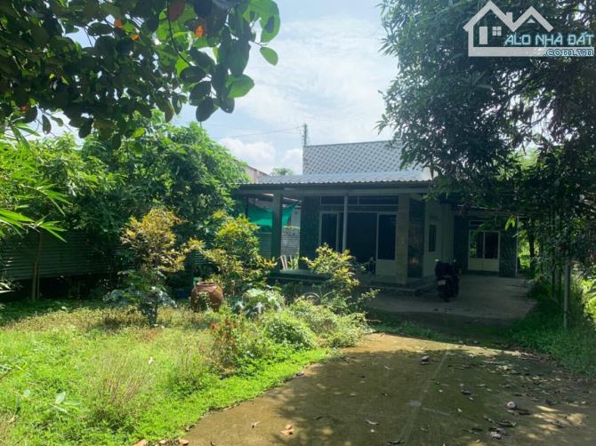 ĐẤT GIÁP SÔNG 2600M2 CÓ SẴN 300M2 THỔ CƯ + NHÀ CẤP 4 KHU DÂN CƯ GIÁ RẺ CHỈ 2TY8 - 2