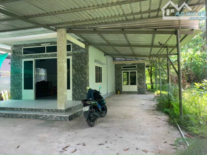 ĐẤT GIÁP SÔNG 2600M2 CÓ SẴN 300M2 THỔ CƯ + NHÀ CẤP 4 KHU DÂN CƯ GIÁ RẺ CHỈ 2TY8 - 3