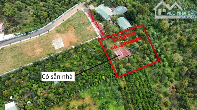 Bán 2133 m2 có sẵn 400 thổ đất xã Tân Lạc Bảo Lâm tặng kèm nhà cấp 4 còn mới có sẵn vườn - 3