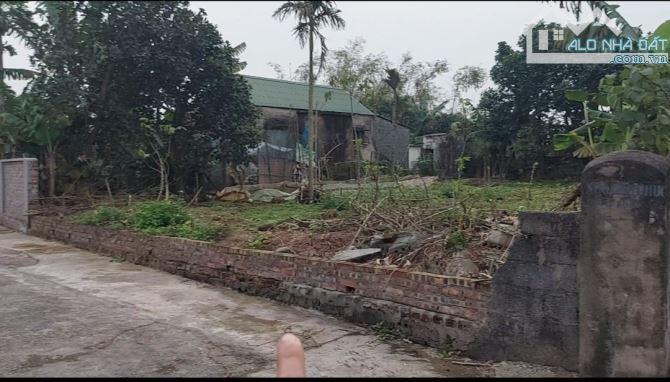 Bán đất nhà vườn Bình Nguyên, Kiến Xương, Thái Bình - 5