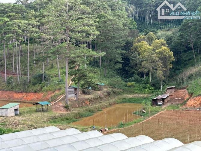 5000m có 2000m là hồ cá, chòi câu cá, 2 căn nhà nhỏ tại Xuân Thọ- Đà Lạt - 1