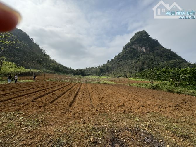 🕎❣️ 13388m Phẳng Như Sân Bay - Lưng Tựa Núi - View Đỉnh ❣️🕎 - 2