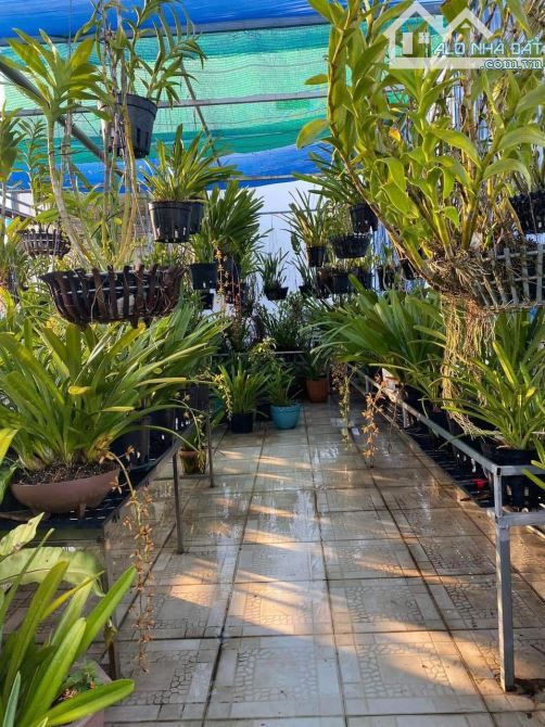 Bán Nhà Mặt Tiền Phố Tây Thạnh Tân Phú, AEON MALL, 120m,5X24M, 5 Tầng, 12.X TỶ XÍU - 3