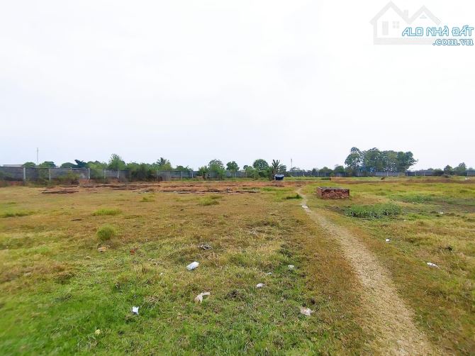 Bán miếng đất 1.7 ha đất lúa tiện phân lô 7.5tr/m2, Trương Thị Như, Hóc Môn. Pháp Lý chuẩn - 1