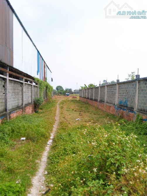 Bán miếng đất 1.7 ha đất lúa tiện phân lô 7.5tr/m2, Trương Thị Như, Hóc Môn. Pháp Lý chuẩn - 2