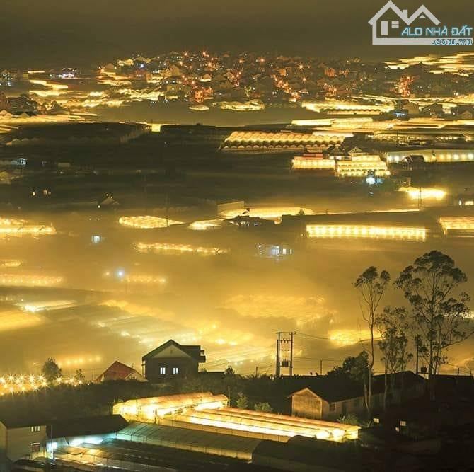 BÁN PHÁ GIÁ lô đất view THUNG LŨNG ĐÈN, 400m2, 8.68 TỶ ĐẤT 3 MẶT TIỀN ĐƯỜNG 6M VIEW ĐẸP