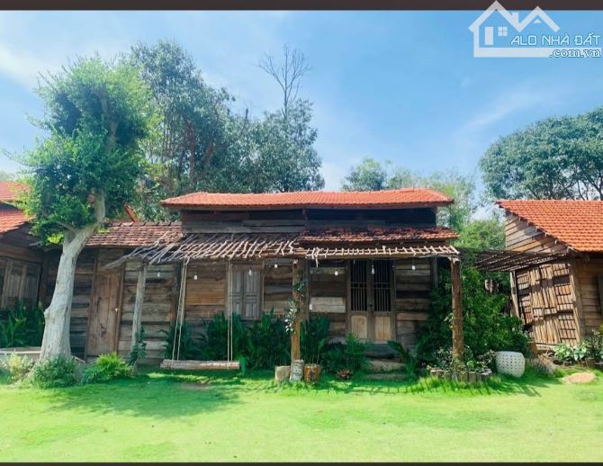 BÁN ĐẤT GẦN KDL SINH THÁI SUỐI RAO FORES, CHÂU ĐỨC, BÀ RỊA VŨNG TÀU, DT 13000M2 , 250M MT - 1