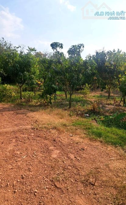 Cần bán lô đất 1743m2, mặt đường 46m, gần trường, chợ, view hồ Trị An