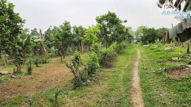 Cơ hội đầu tư đất giá rẻ,18000m có 400m ont Lương Sơn Hoà Bình. - 4