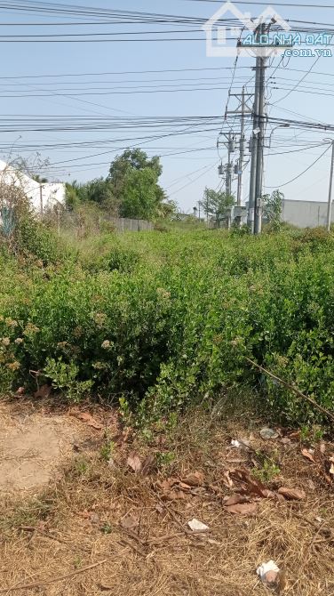 Cần bán đất góc 2 mặt tiền đường quốc lộ 60 thuộc xã lương Hòa huyện Châu Thành TP Trà Vin - 1