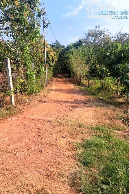 Cần bán lô đất 1743m2, mặt đường 46m, gần trường, chợ, view hồ Trị An - 1