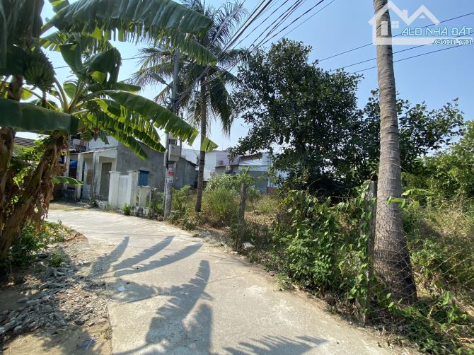 Đất nhà tách bán thôn Phú Thạnh xã Vĩnh Thạnh xây tự do đường oto - 4
