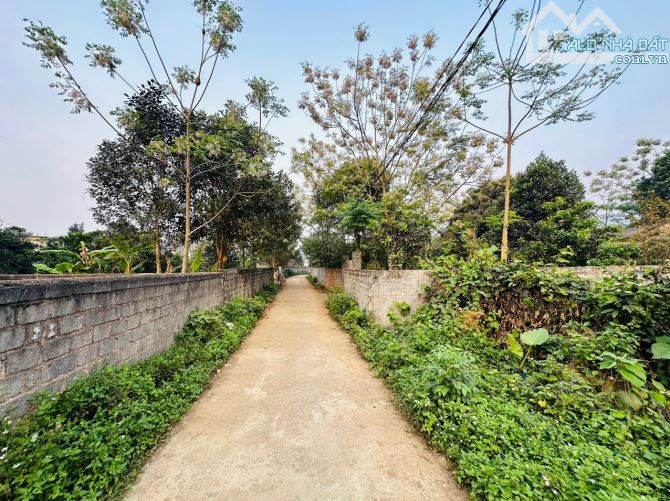 BÁN GẤP LÔ ĐẤT CÓ DT 1119m2 (200m2 ONT) BẰNG PHẲNG XUNG QUANH NHIỀU KHU NGHỈ DƯỠNG - 2