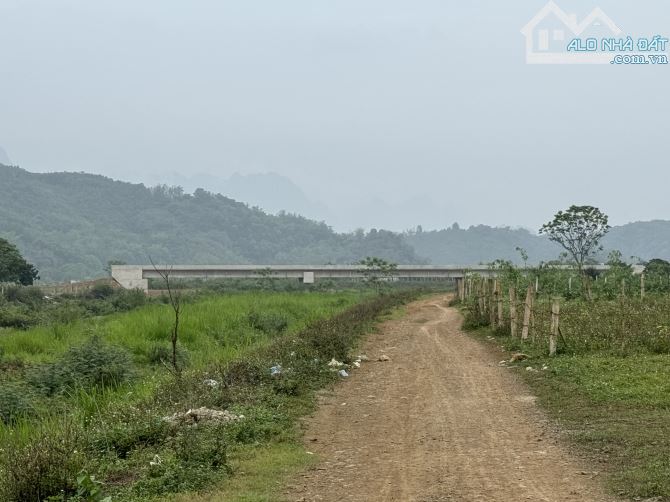 ❇️ 5126m Cây Hàng Năm Khoáng Nóng 35-36 Độ - Bám Suối Phẳng Đẹp ❇️ - 6