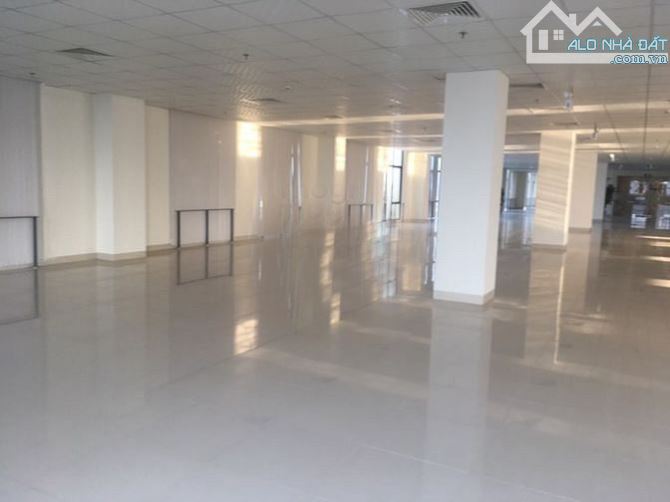 Văn phòng cho thuê Thông Tấn Xã Đà Nẵng, 12 tầng, hơn 9000m2 sàn cho thuê, nội ngoại thất - 2