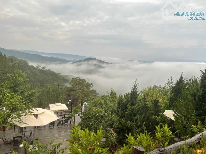 ĐẤT CUNG ĐƯỜNG HOÀNG GIA CẠNH DINH 1 KHU ĐẲNG CẤP TẠI ĐÀ LẠT VIEW VĨNH VIỄN - 2