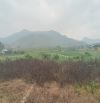 Thanh lý 1500m2 đất view cánh đồng nằm trục chính, tại xã Yên Bài, Ba Vì, Hà Nội.