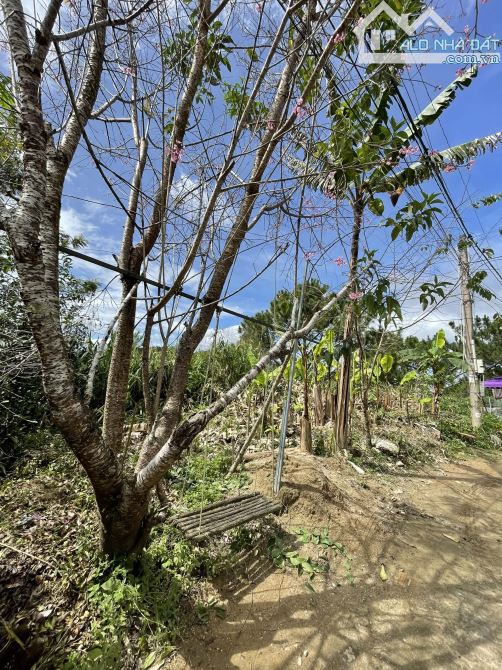 ĐẤT CUNG ĐƯỜNG HOÀNG GIA CẠNH DINH 1 KHU ĐẲNG CẤP TẠI ĐÀ LẠT VIEW VĨNH VIỄN - 3
