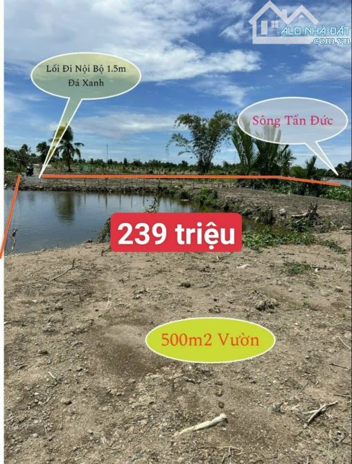 600m2 đất vườn giá 239 triệu view sông lạc tấn tân trụ Long An ngộp