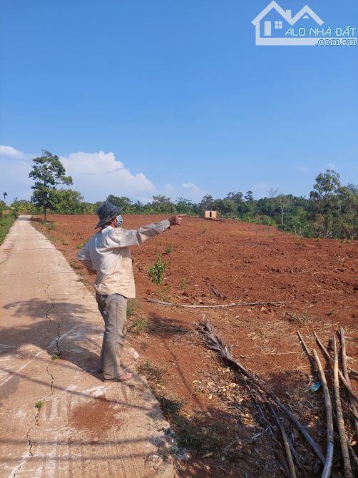 1,5 ha Đất đỏ đường bơ tông TP.BMT 9km - 1