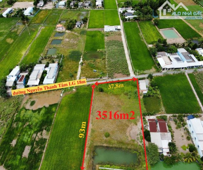 Cần bán 3516m2 đất thị trấn Cần Giuộc, mặt tiền đường nhựa, cách quốc lộ 50 chỉ 700m - 1
