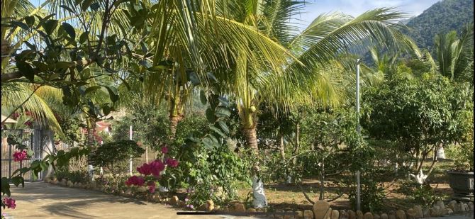 Bán farm nhà vườn ngoại ô thành phố Nha Trang - 2