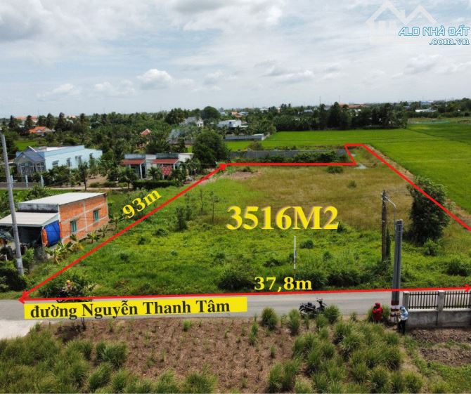 Cần bán 3516m2 đất thị trấn Cần Giuộc, mặt tiền đường nhựa, cách quốc lộ 50 chỉ 700m - 2