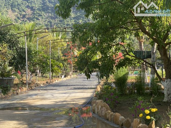 Bán farm nhà vườn ngoại ô thành phố Nha Trang - 3