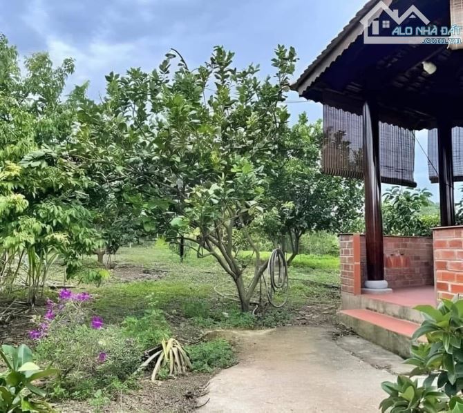 Cần bán 1000m2 đất gần nhà máy nước Định Quán, SHR, giá 440 tr/1000m2 - 3