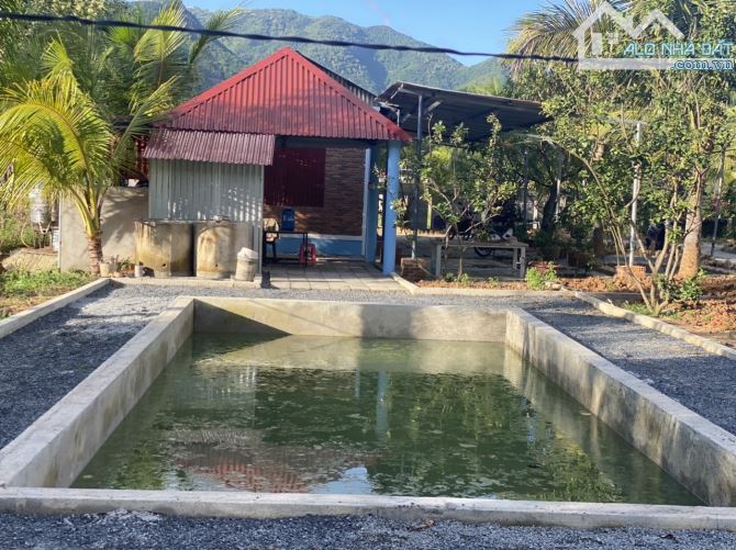 Bán farm nhà vườn ngoại ô thành phố Nha Trang - 6