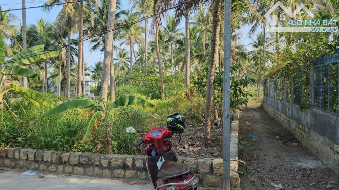 ** Bán đất đảo Cồ Dê Ngọc Thảo , Nha Trang + DT: 11*50m, giá rẻ - 1