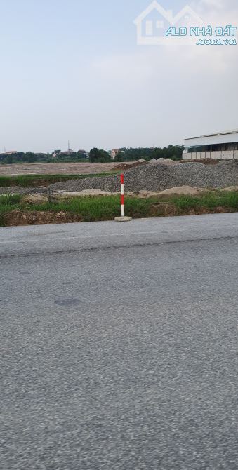 Cty cần bán 2,5 ha đất sxkd mặt đường trục kinh tế Mỹ Hào, chỉ 3 tr/m2 - 1