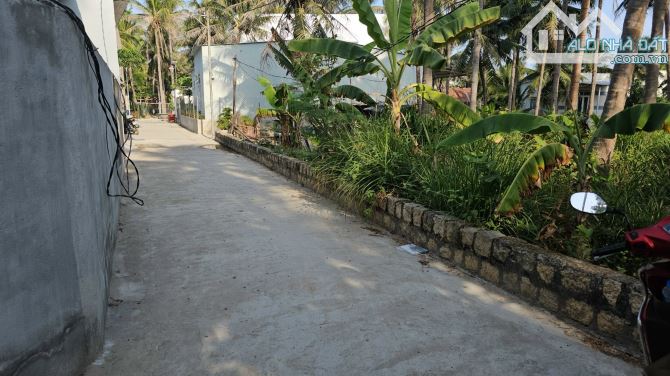 ** Bán đất đảo Cồ Dê Ngọc Thảo , Nha Trang + DT: 11*50m, giá rẻ - 4