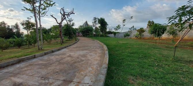 Bán lô đất 2 mt cùng khu nghỉ dưỡng giá mềm - 4