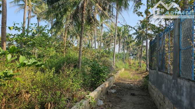 ** Bán đất đảo Cồ Dê Ngọc Thảo , Nha Trang + DT: 11*50m, giá rẻ - 5
