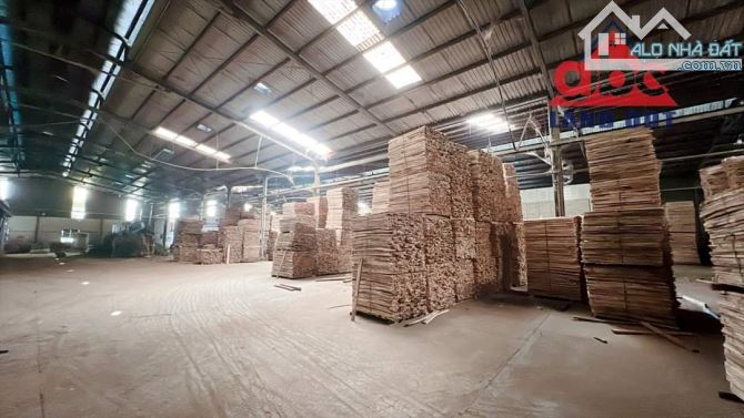 Cho thuê xưởng 5200m2 phường tân hoà , biên hoà , đồng nai - 8