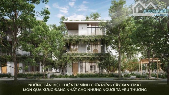 RA MẮT BẢNG HÀNG SHOPHOUSE VÀ TOWNHOUSE VỊ TRÍ VÀNG TẠI ECOPARK