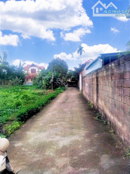Mr Tùng Bán lô 150m sẵn bìa đất đấu giá  tại Hoa Động, Thủy Nguyên. - 1