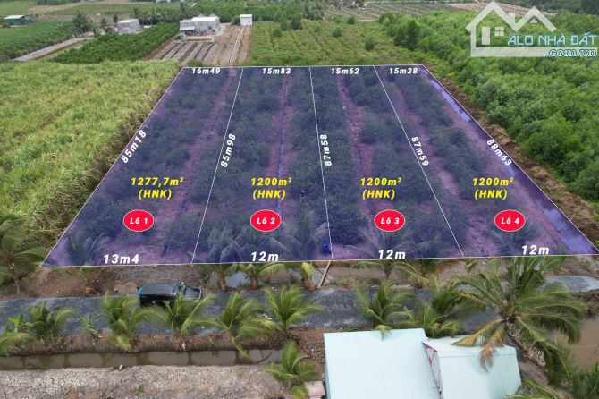 1200m2 đất vườn chanh view kênh, nở hậu cực đẹp, 870tr - 7