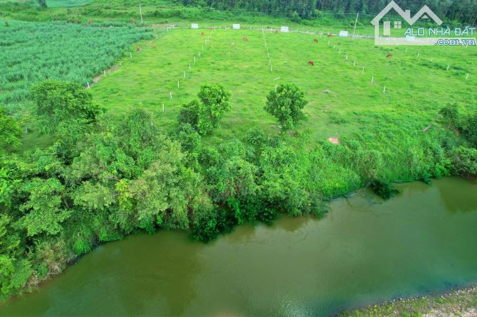 Giảm sâu bán nhanh đất view sông Chò Khánh Vĩnh chỉ 199tr - 1