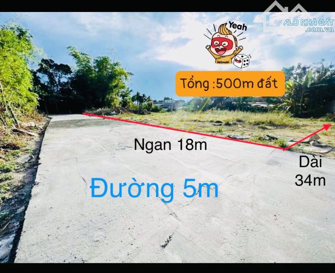 ❌ CỰC SỐC: CHỦ GỬI 3 LÔ BIỆT THỰ 500M2 GẦN BẾN XE ĐỨC LONG- ĐÀ NẴNG - 4