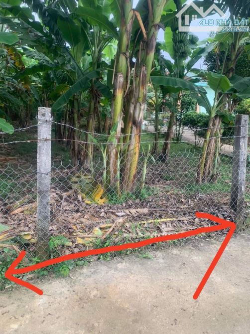 Chủ cần tiền bán lỗ 263m2 đất ở thôn cẩm văn tây giá 709tr sang sổ