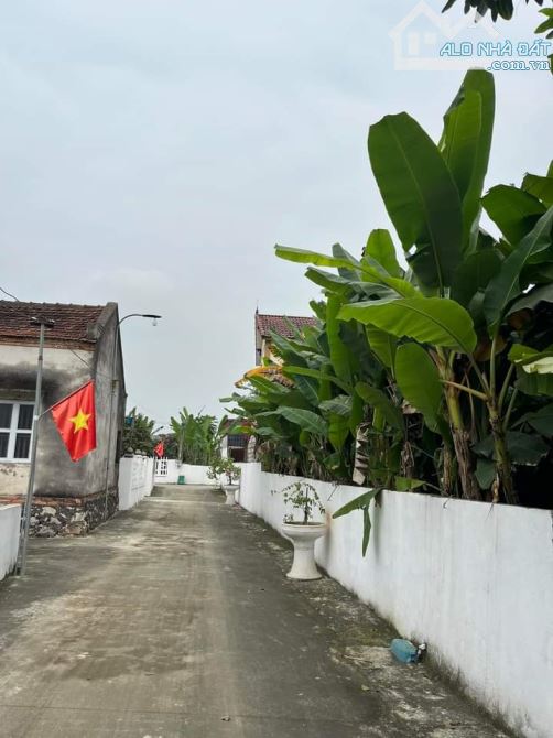 167m sẵn sổ đất Đồng Lợi Triệu Sơn giá 560tr - 1