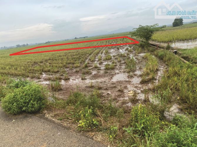 Bán đất  ruộng 6 sào tại xã Long Phước, TP Bà Rịa - 2