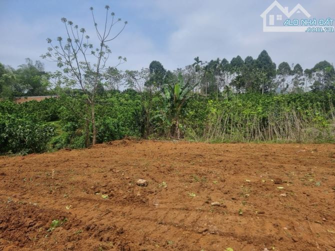 ⚜️ 2321m Có 1000 Đất Ở - View Cánh Đồng Đẹp - Giá 2.1 Tỷ ⚜️ - 2