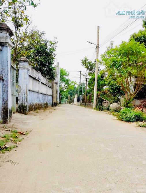 Chủ cần tiền bán lỗ 263m2 đất ở thôn cẩm văn tây giá 709tr sang sổ - 3