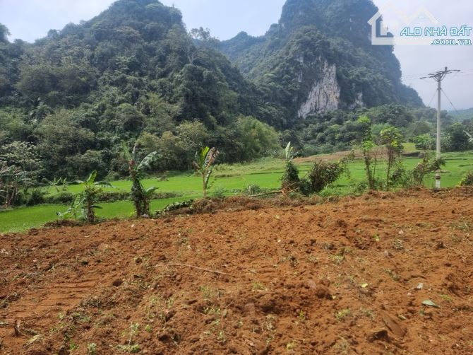 ⚜️ 2321m Có 1000 Đất Ở - View Cánh Đồng Đẹp - Giá 2.1 Tỷ ⚜️ - 3