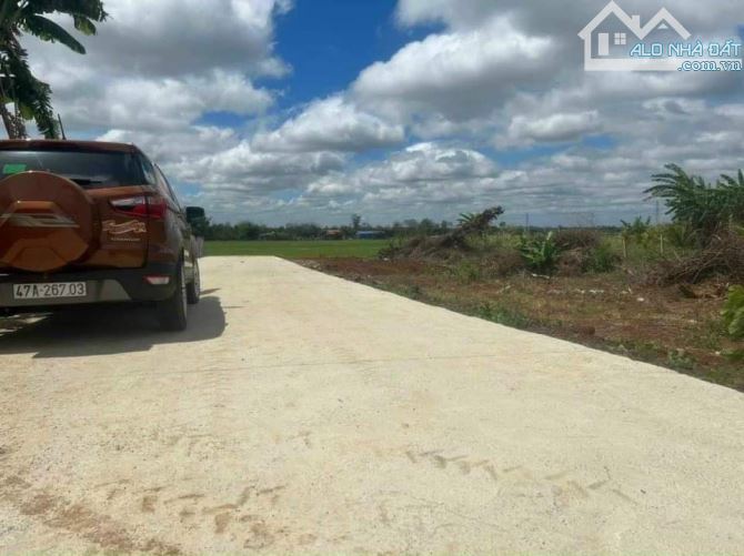 Bán lô đất xã Hoà Khánh,hẻm đường Tố Hữu tp BMT - 1