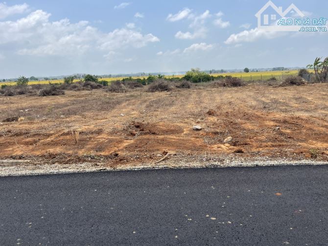 BÁN ĐẤT LONG PHƯỚC THÀNH PHỐ BÀ RỊA VŨNG TÀU - 2